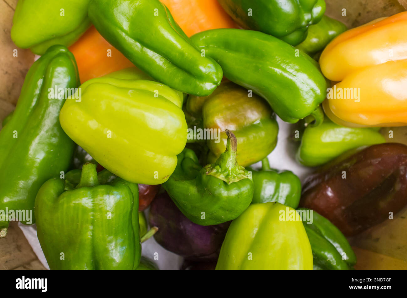 Assorted organic colorful bell peppers on display at local farmers ...