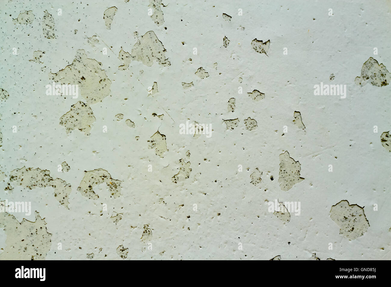 Paint peeling off the walls Stock Photo Alamy