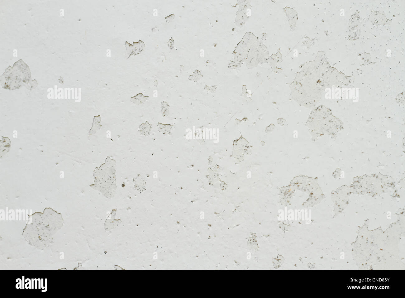 Paint peeling off the walls Stock Photo Alamy