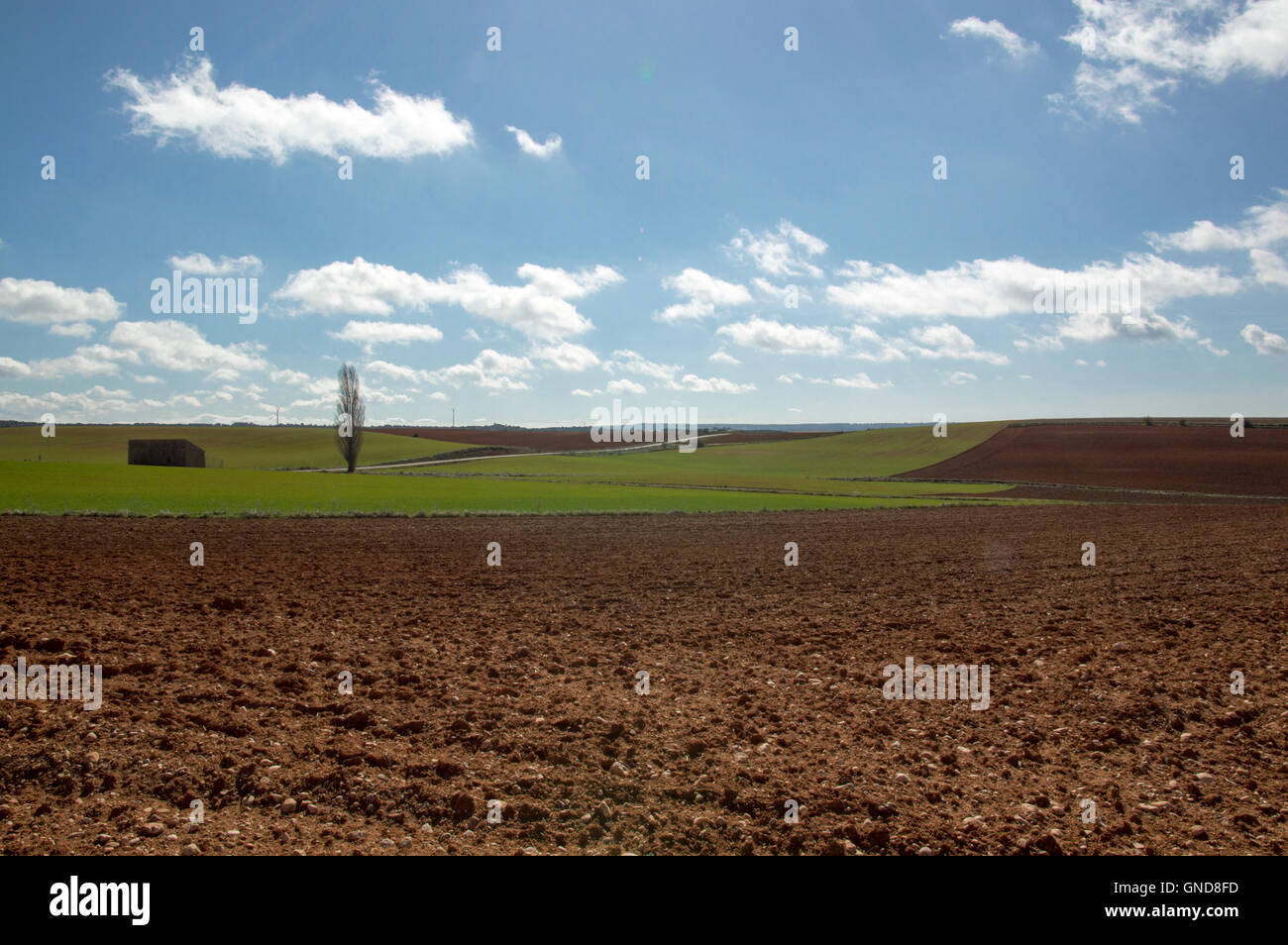 Rural landscape in Soria Stock Photo - Alamy