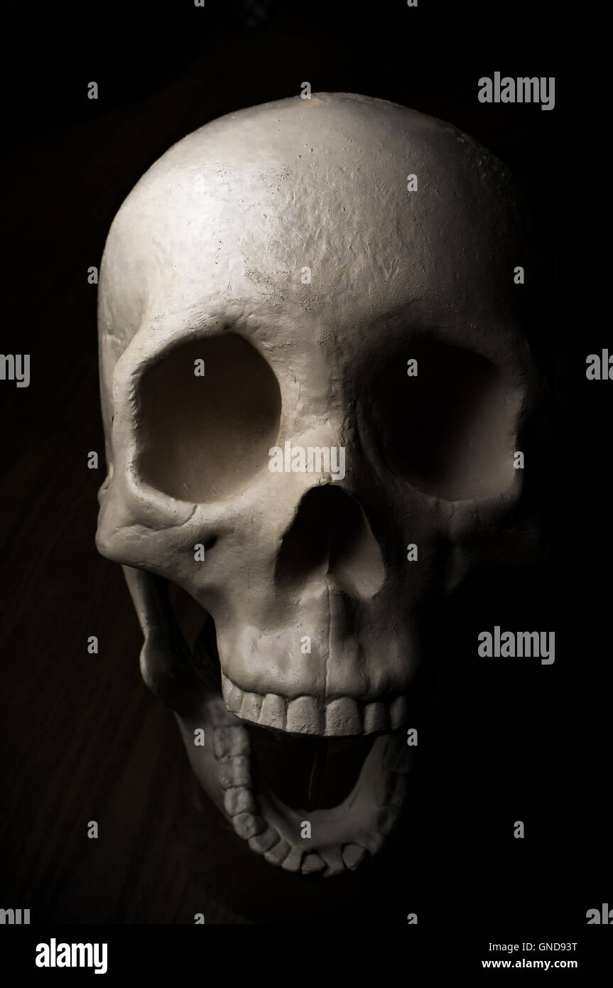 Terrifying surprised halloween skull for October holiday background Stock Photo