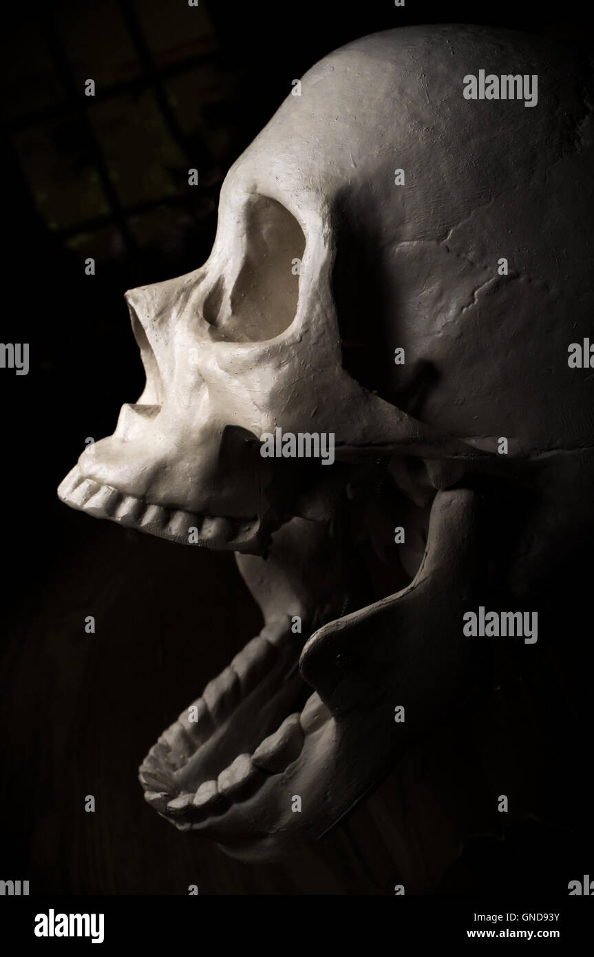 Terrifying screaming halloween skull for October holiday background Stock Photo