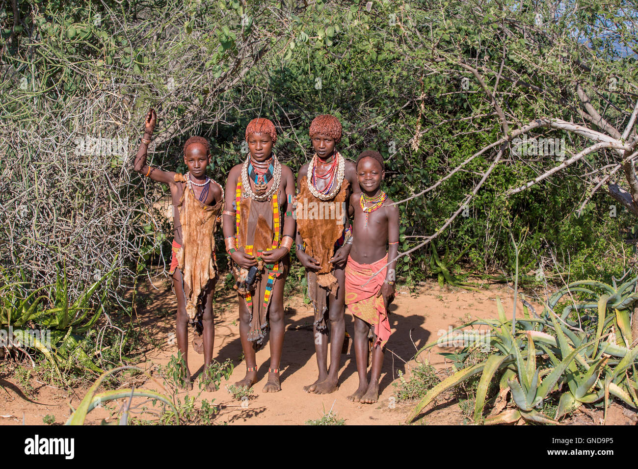 Portrait of Hamer tribe, Turmi, Omo Valley - Ethiopia Stock Photo - Alamy