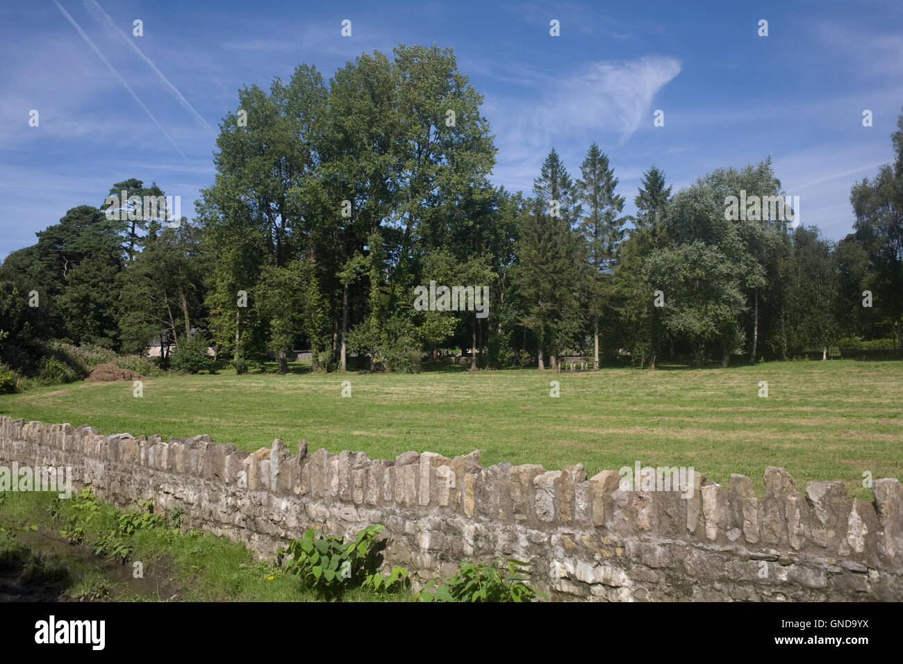 Meadow with stone wall in the village of Merthyr Mawr Stock Photo