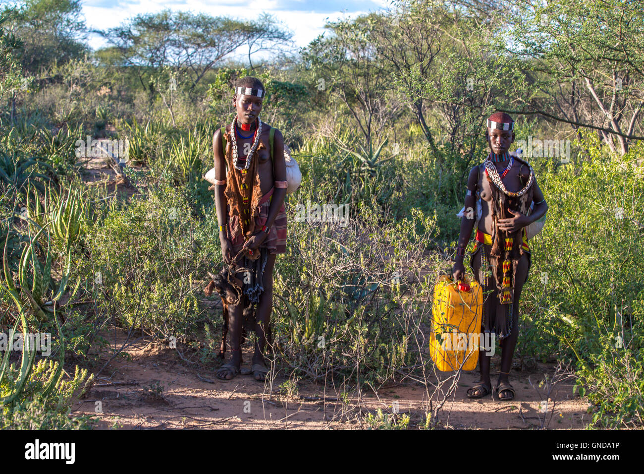 Portrait of Hamer tribe, Turmi, Omo Valley - Ethiopia Stock Photo - Alamy