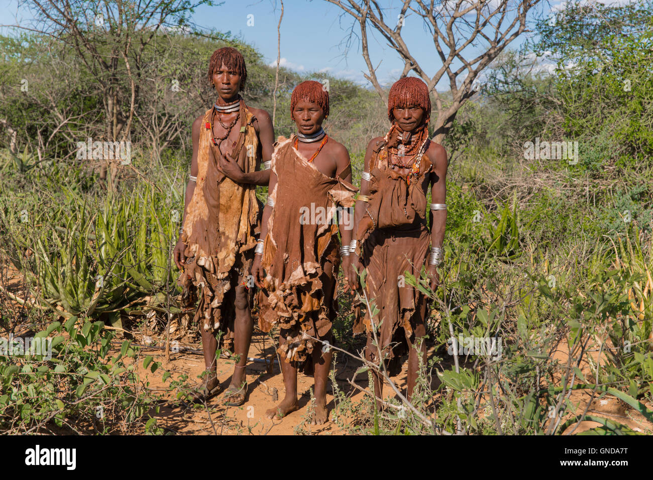 Portrait of Hamer tribe, Turmi, Omo Valley - Ethiopia Stock Photo - Alamy