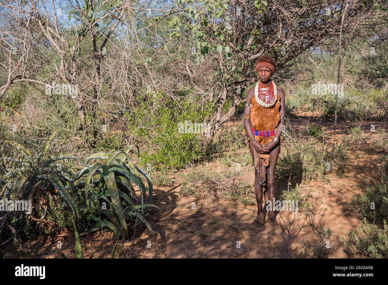 Portrait of Hamer tribe, Turmi, Omo Valley - Ethiopia Stock Photo - Alamy
