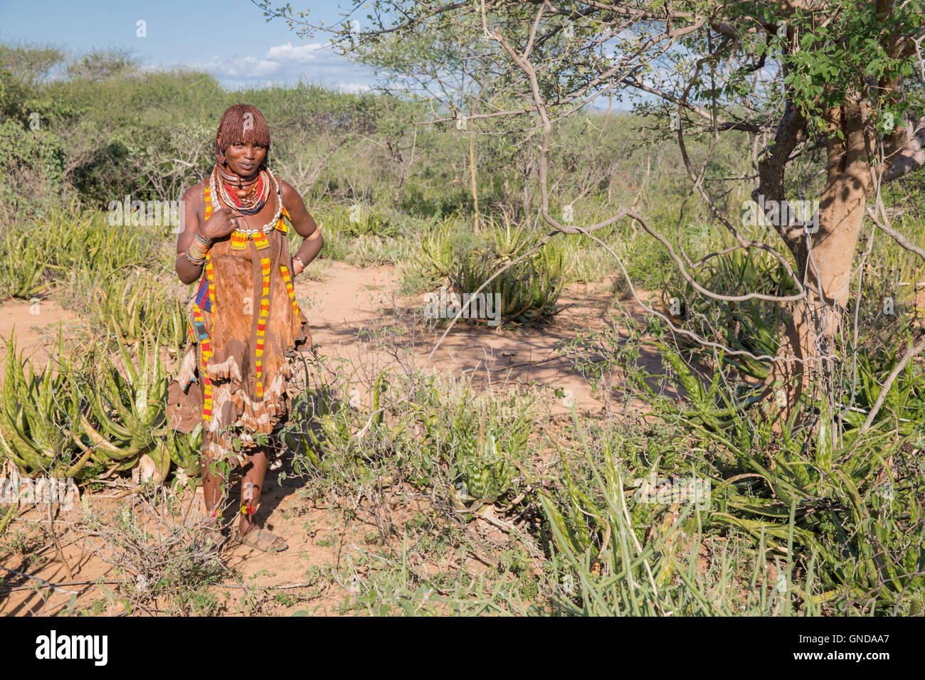 Portrait of Hamer tribe, Turmi, Omo Valley - Ethiopia Stock Photo - Alamy