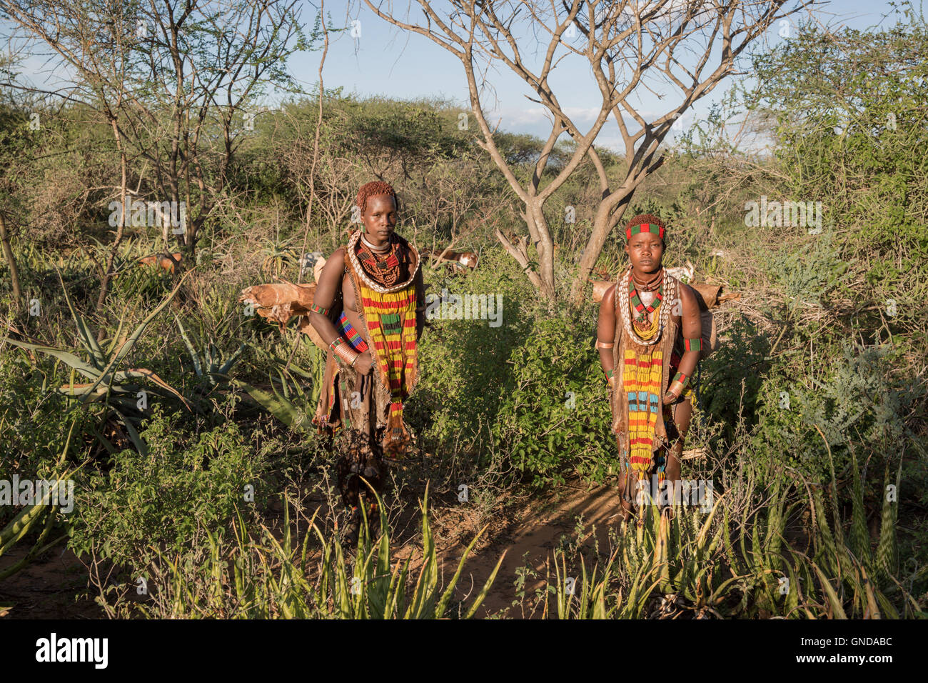 Portrait of Hamer tribe, Turmi, Omo Valley - Ethiopia Stock Photo - Alamy