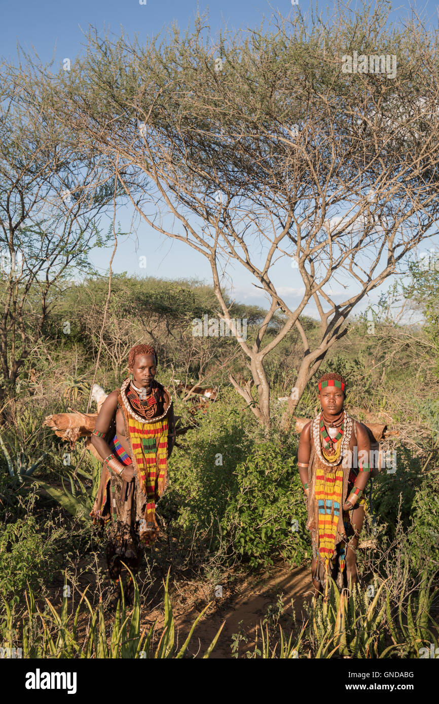 Portrait of Hamer tribe, Turmi, Omo Valley - Ethiopia Stock Photo - Alamy