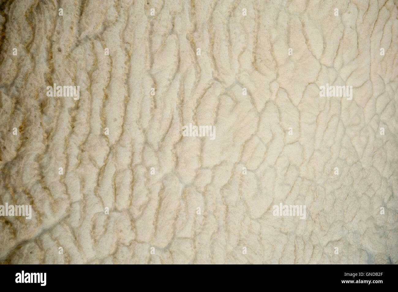 an image of foam background Stock Photo - Alamy