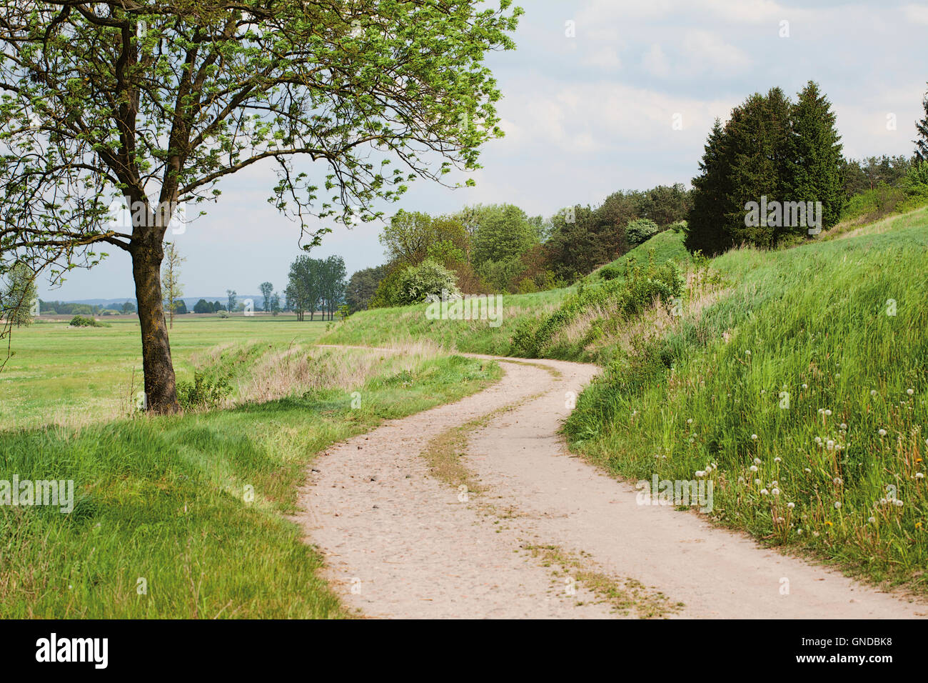 country ground winding road or rural beautiful landscape Stock Photo