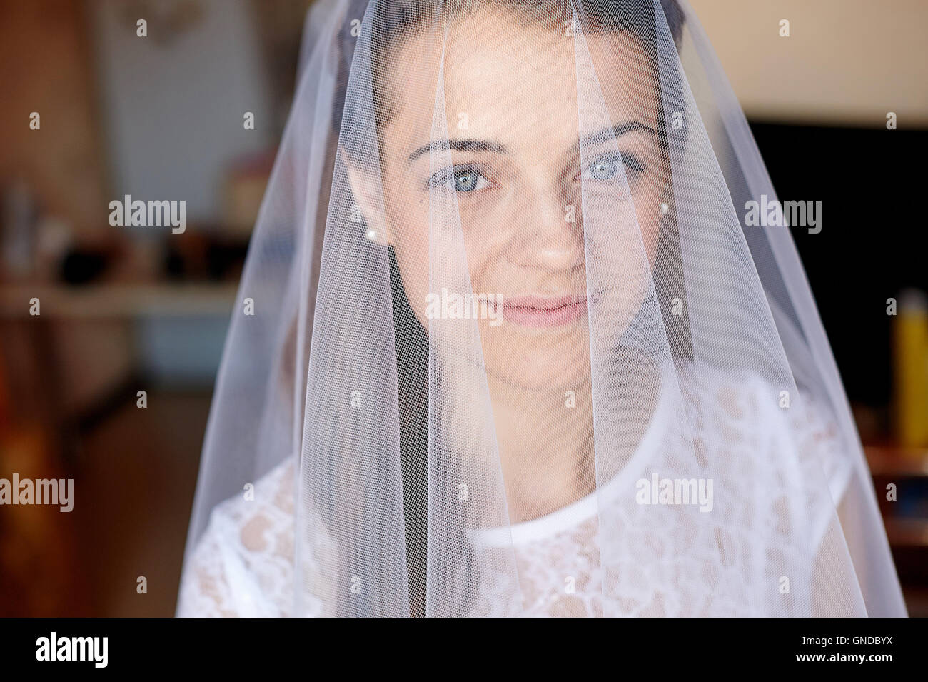 portrait of a beautiful bride with veil in hotel room Stock Photo