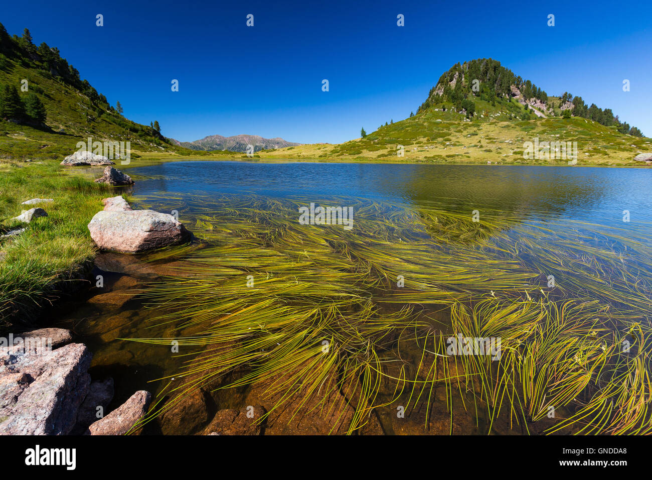 Lake Buse (Lago delle Buse). The Lagorai mountain group. Manghen pass. Trentino. Italy. Europe. Stock Photo