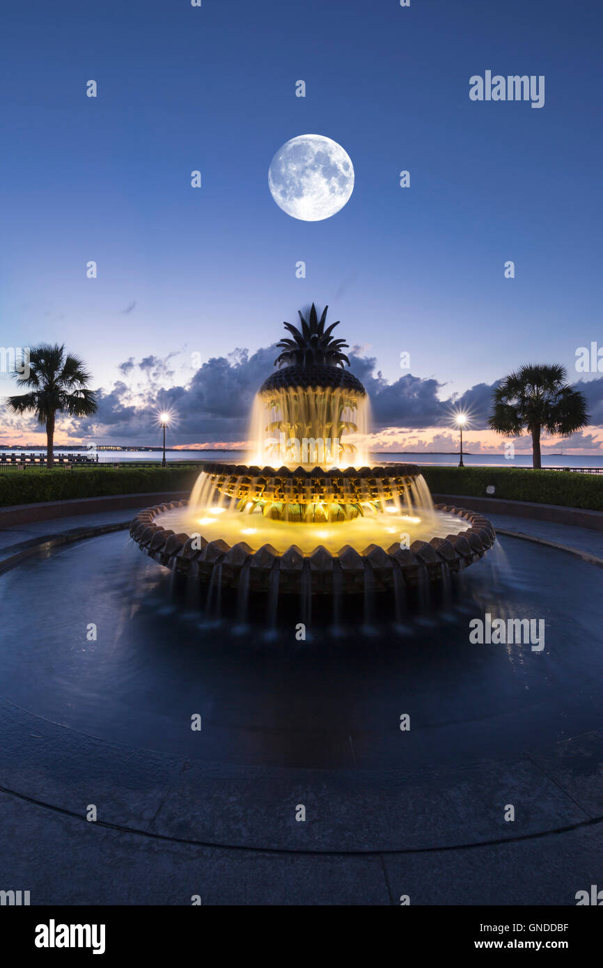 PINEAPPLE FOUNTAIN (©STUART O DAWSON / SASAKI ASSOCS 1990) WATERFRONT