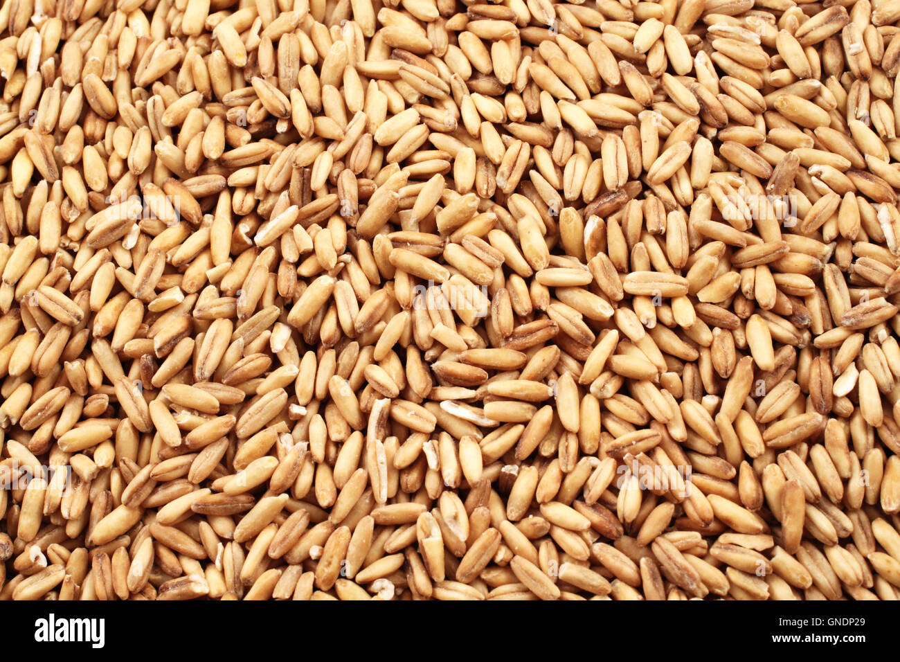 A macro image of whole grain oats Stock Photo Alamy