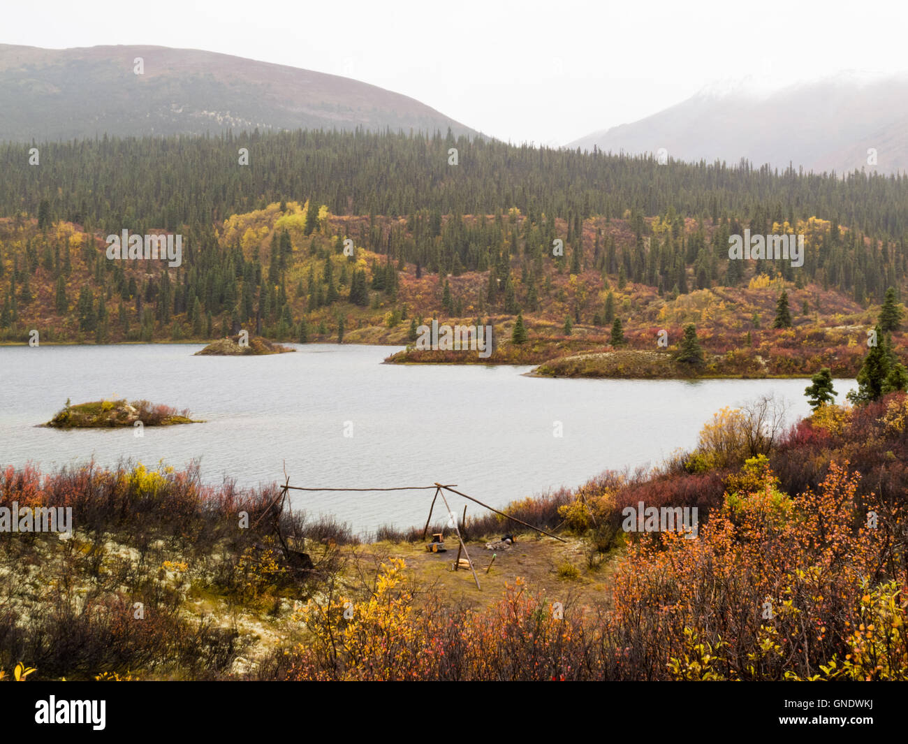 Boreal forest lake hi-res stock photography and images - Alamy