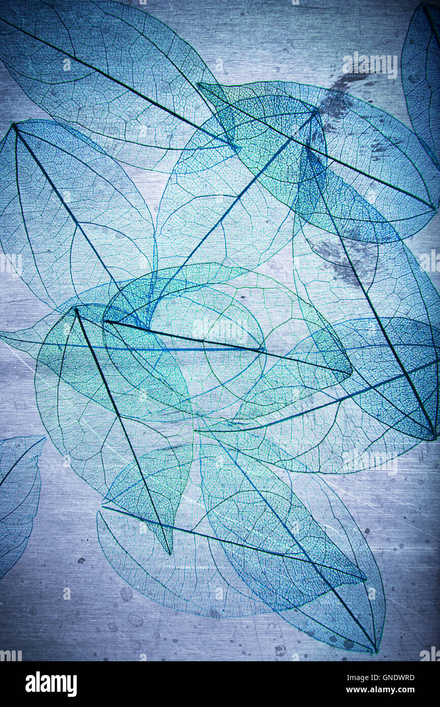 grunge leaf background Stock Photo - Alamy