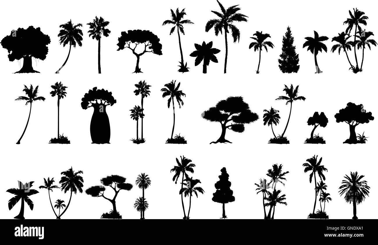palm tree silhouette collections Stock Vector
