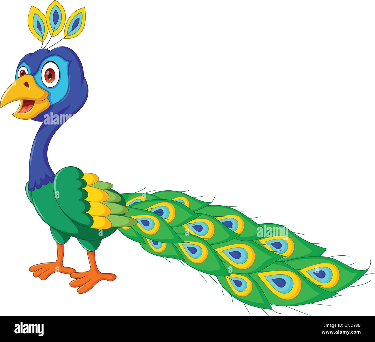 cute Peacock cartoon Stock Vector Image & Art - Alamy cute Peacock cartoon Stock Vector Image & Art - Alamy