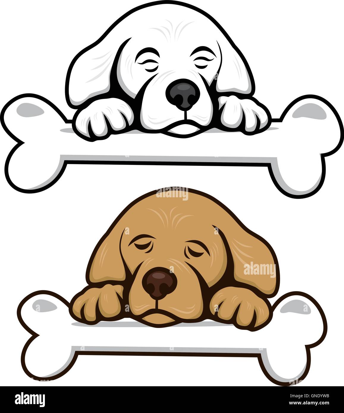 cute little puppy with bone Stock Vector Image & Art - Alamy