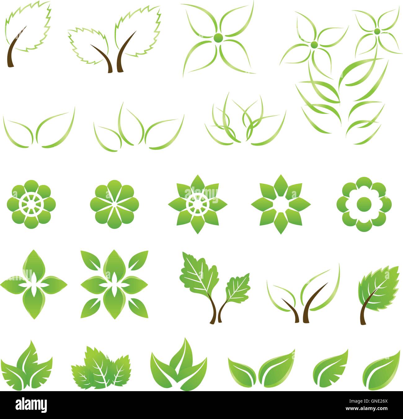 Set of green leaf and flower design elements. Stock Vector