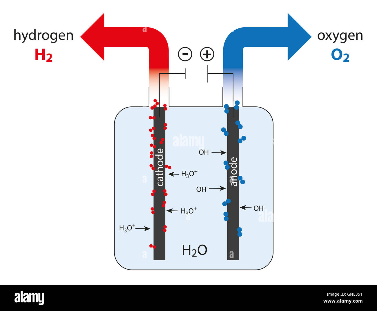 electrolysis cell of water to produce hydrogen and oxygen Stock Photo