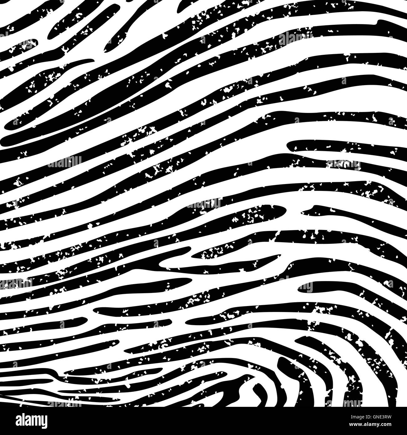 Tiger skin background vector illustration Black and White Stock Photos ...