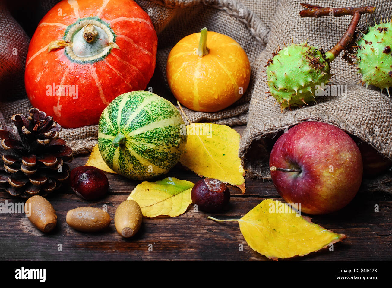 Still life with set pumpkin,apples,chestnuts and acorns Stock Photo - Alamy