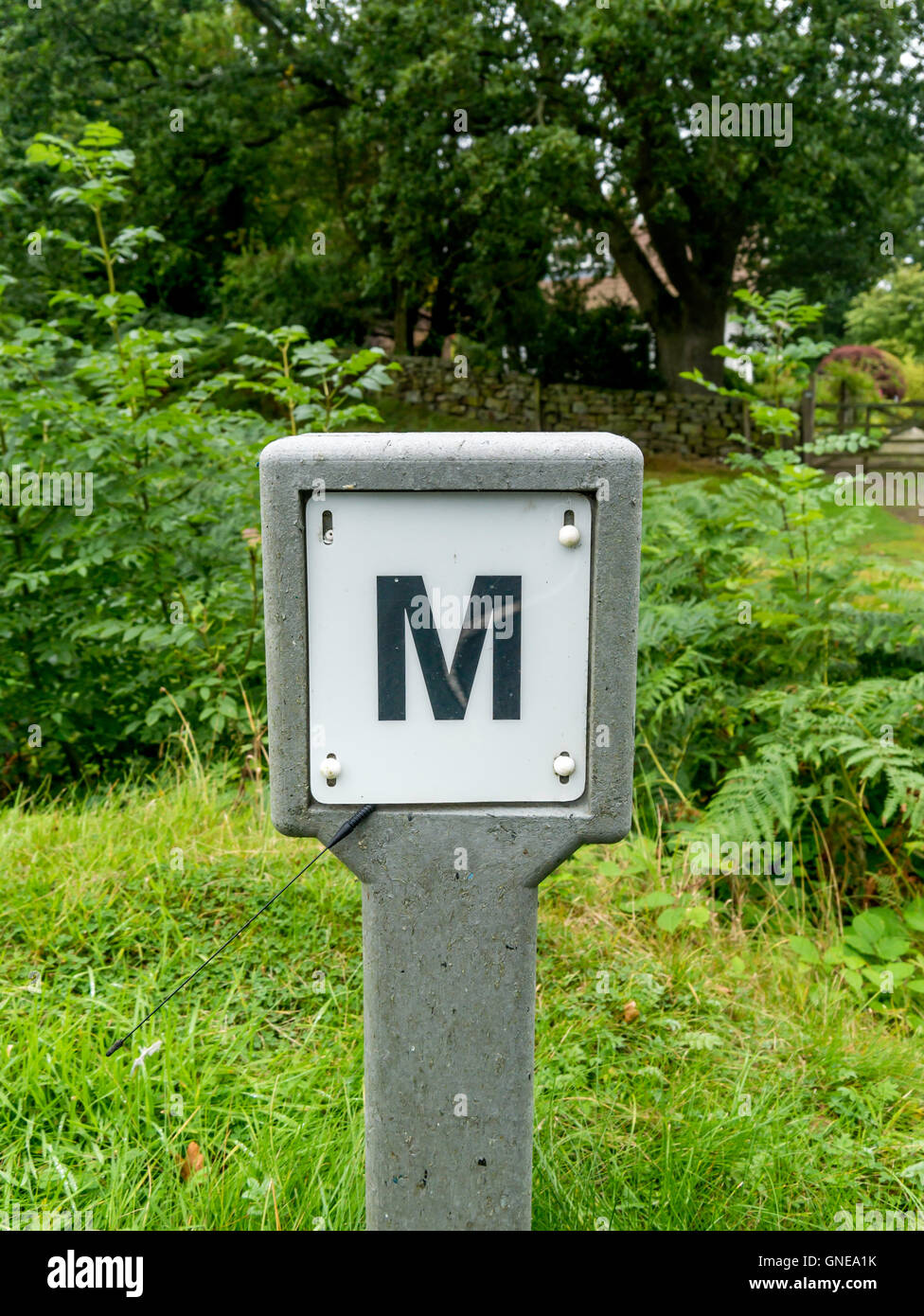 A roadside sign with a letter 'M' indicating the adjacent site of a water meter under a manhole in the road, Stock Photo