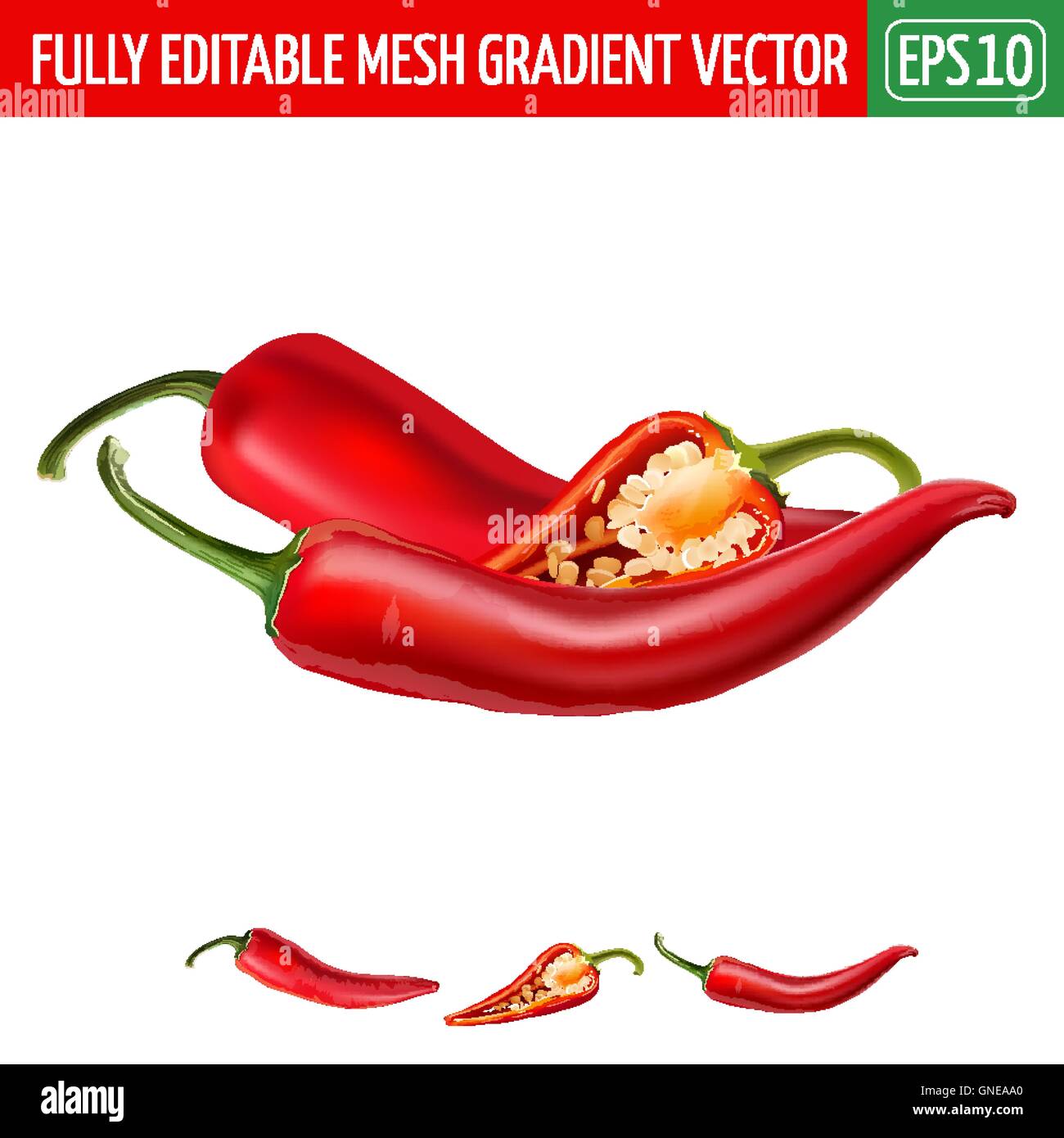 Hot red chili peppers on white background. Vector illustration Stock Vector