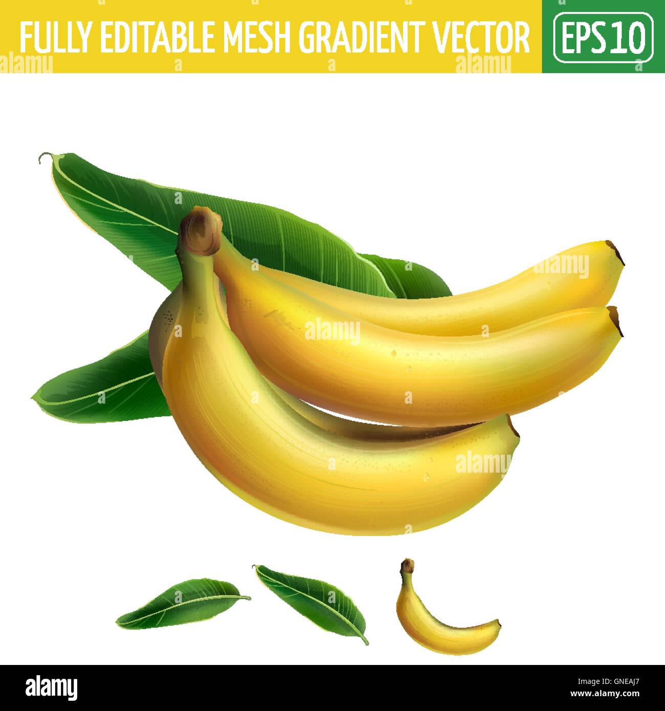 Banana on white background. Vector illustration Stock Vector