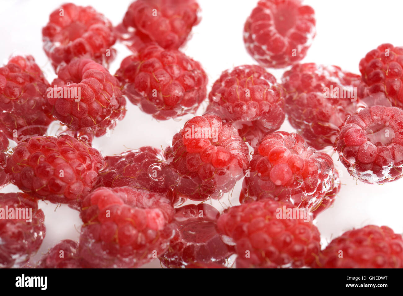 Ripe juicy red raspberries fall hi-res stock photography and images - Alamy