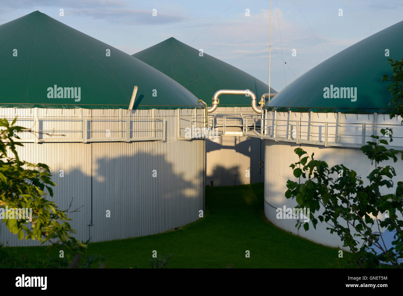 ROMANIA Filipestii de Padure, Biogas plant  / RUMAENIEN Filipestii de Padure bei Ploiesti, MT-Energie Biogasanlage von Genesis Biopartner Bio1, hier werden Schlachtabfaelle eines Schlachtbetriebes und Mais vergoren Stock Photo