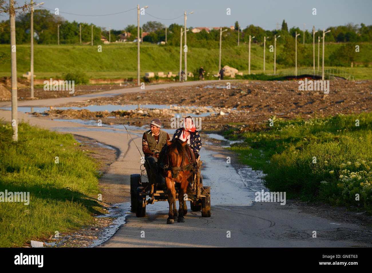 ROMANIA Filipestii de Padure , horse wagon in village, behind illegal dumping site Stock Photo