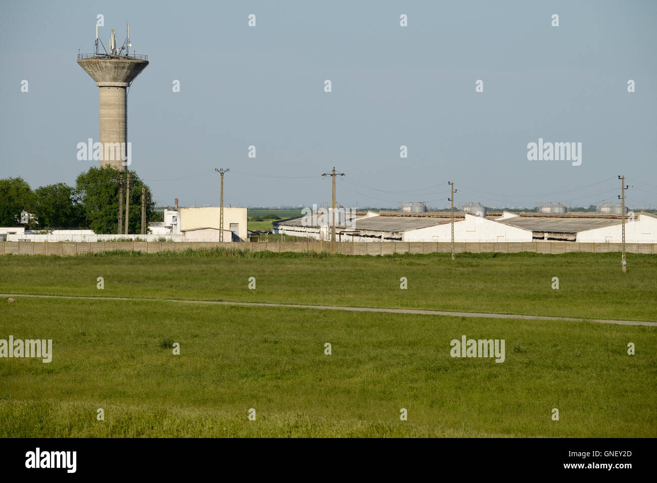 Cenei hi-res stock photography and images - Alamy