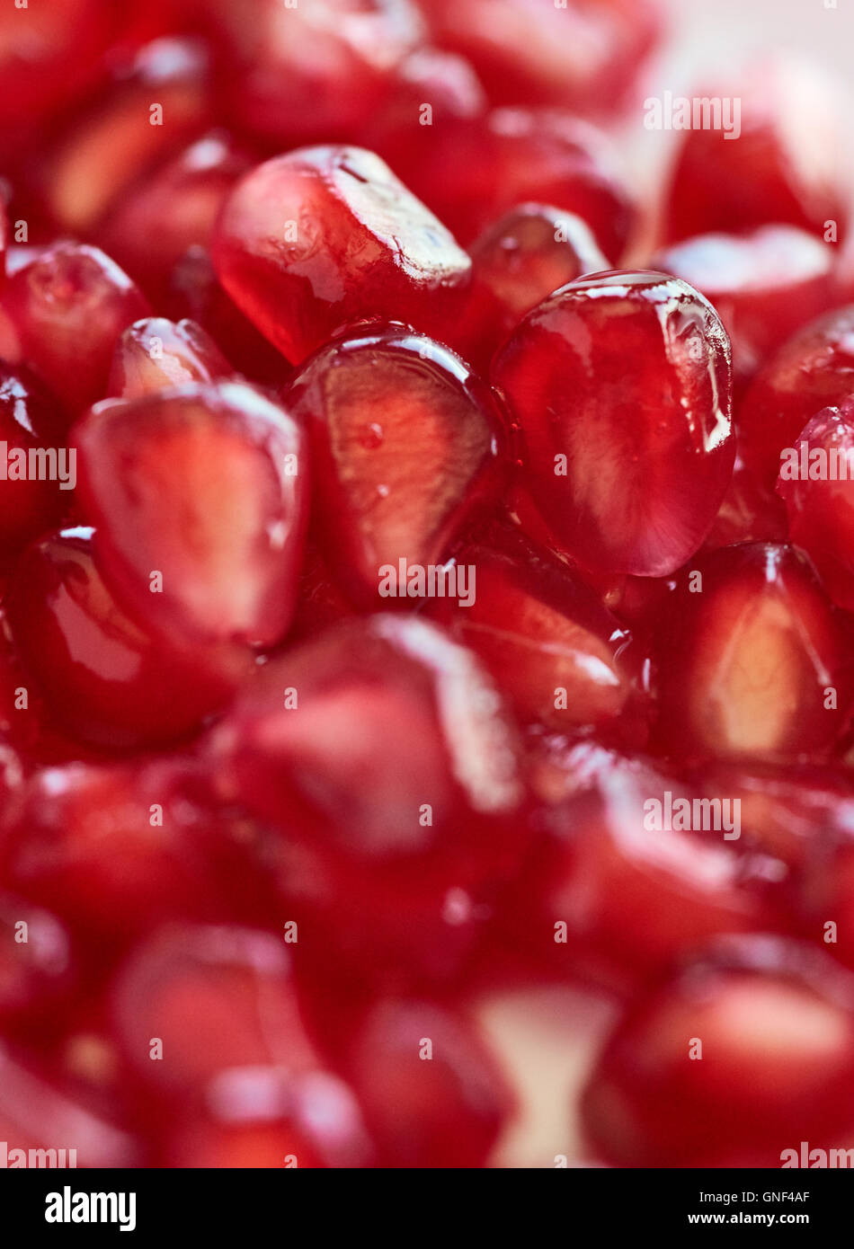 Pomegranate seeds cells arils macro closeup Stock Photo - Alamy