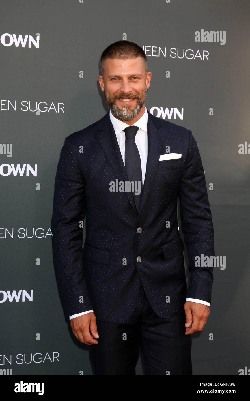 Burbank, Ca. 29th Aug, 2016. Greg Vaughan at the Premiere Of OWN's "Queen Sugar," Warner Brothers Studios, Burbank, CA 08-29-16 Credit:  David Edwards/Media Punch/Alamy Live News Stock Photo