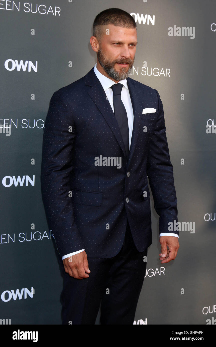 Burbank, Ca. 29th Aug, 2016. Greg Vaughan at the Premiere Of OWN's 'Queen Sugar,' Warner Brothers Studios, Burbank, CA 08-29-16 Credit:  David Edwards/Media Punch/Alamy Live News Stock Photo