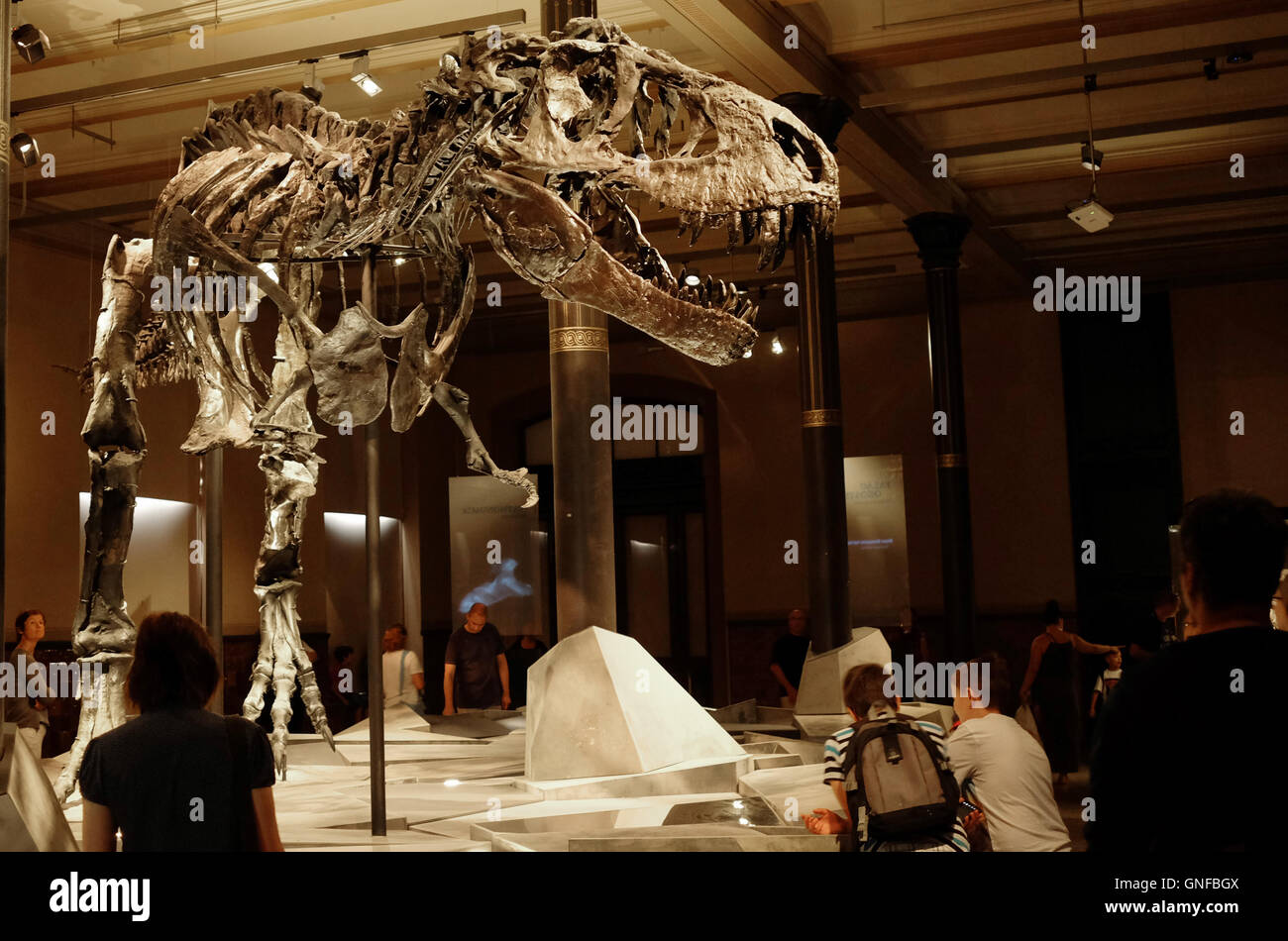 Berlin, Germany. 21st Aug, 2016. Visitors look at the skeleton of the Tyrannosaurus Rex named 'Tristan Otto' at the Museum of Natural History in Berlin, Germany, 21 August 2016. At a height of four meters and a length of twelve meters, it dominates the exhibition 'Tristian - Berlin bares teeth' about the predatory dinosaur Tyrannosaurus rex, which showcases scientific knowledge. The skeleton was found in 2012 in Montana in the USA and is considered a globally unparalleled find. Photo: Jens Kalaene/dpa/Alamy Live News Stock Photo