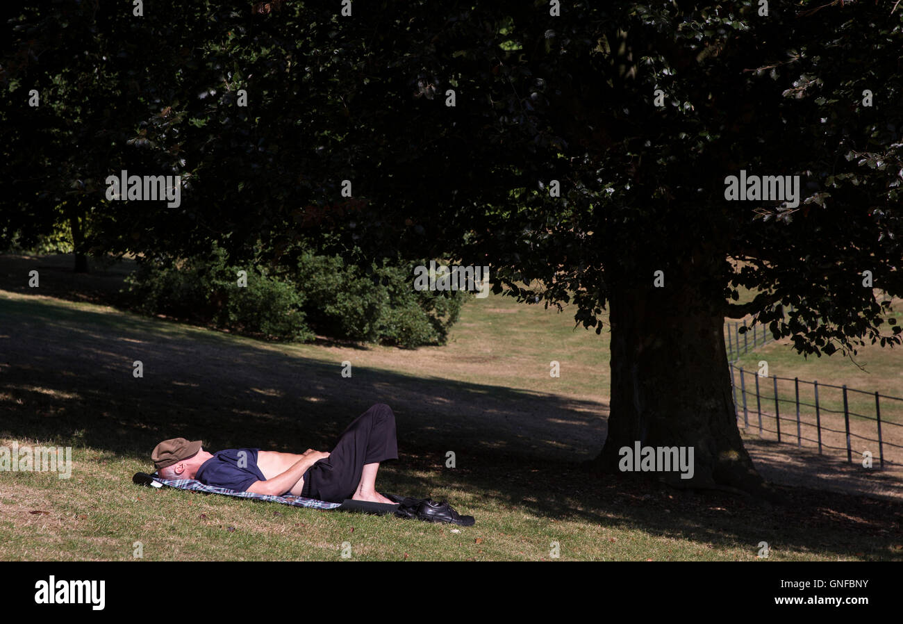 London, UK. 30th Aug, 2016. UK Weather: People enjoy in the sun on Hampstead Heath during hot summer day in London. Credit:  Joel Ford/Alamy Live News Stock Photo