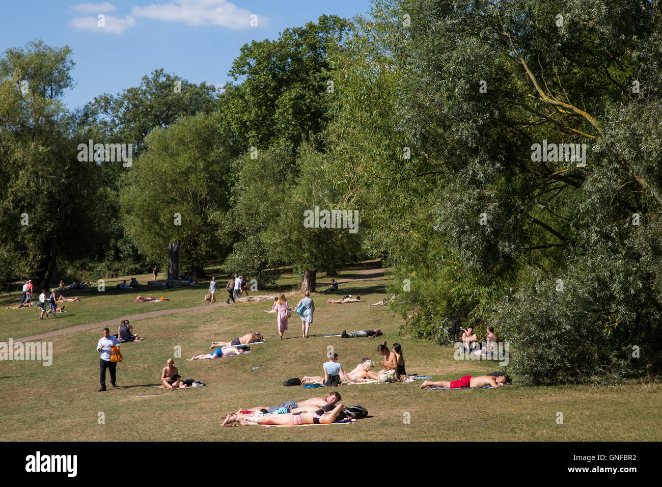 London, UK. 30th Aug, 2016. UK Weather: People enjoy in the sun on Hampstead Heath during hot summer day in London. Credit:  Joel Ford/Alamy Live News Stock Photo
