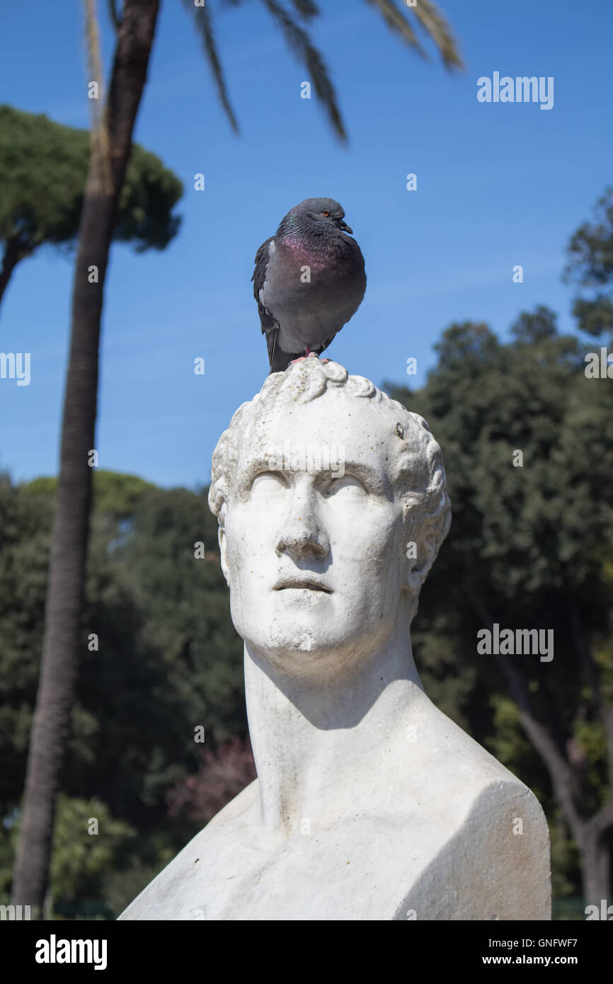 In a park in the city center of Rome, there is a statue of italian sculptor Antonio Canova. This time in a company of a pigeon. Stock Photo