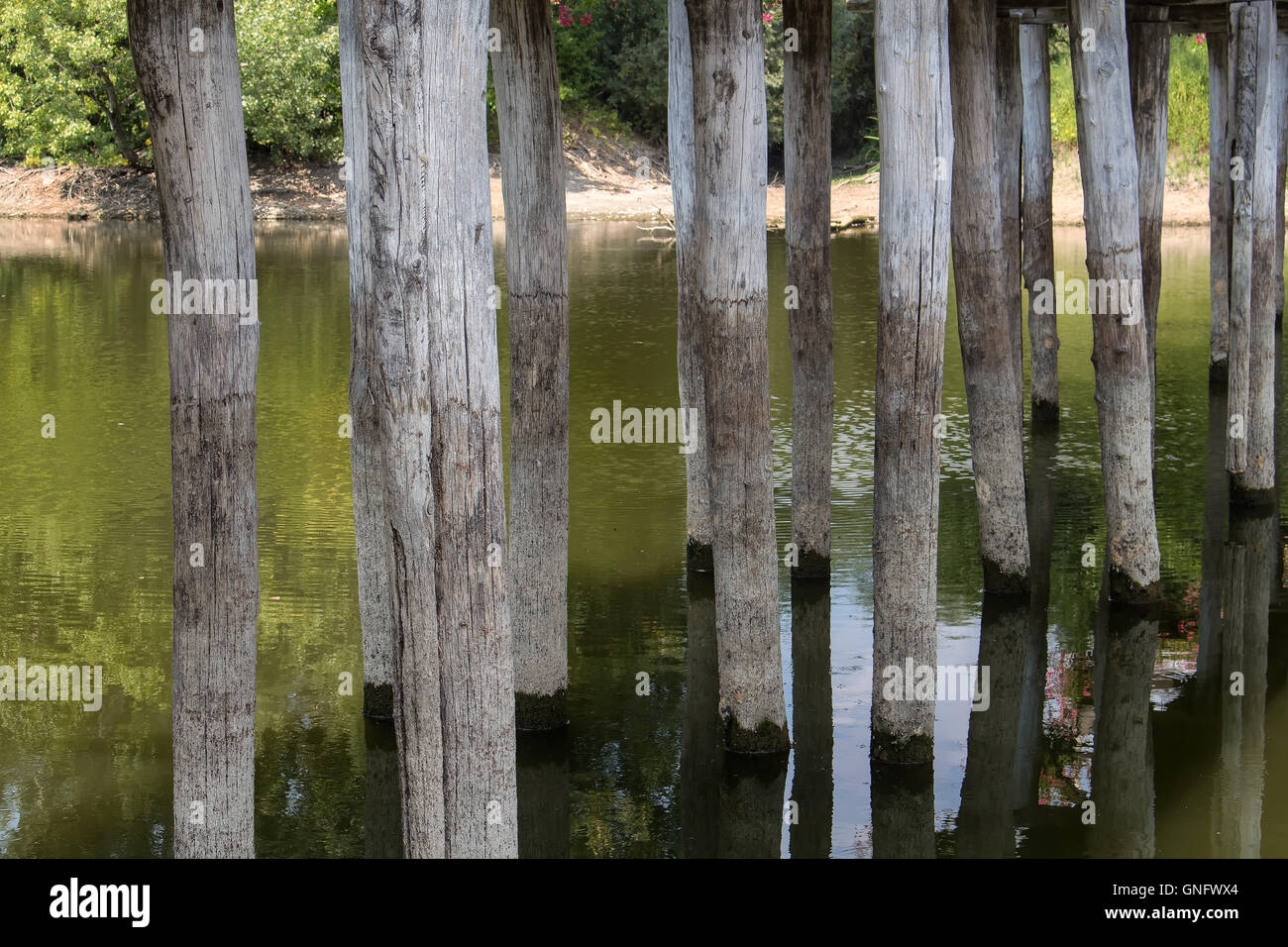 Detail of the construction of a wooden bridge across a small river. Green water, riverbanks in the background. Stock Photo