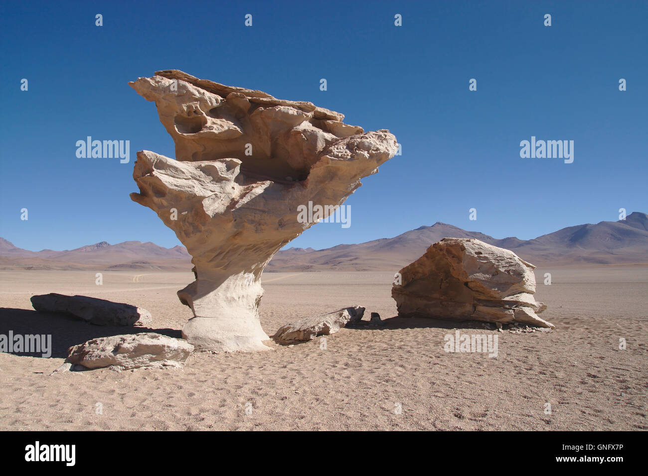 Mushroom rock, Altiplano near Laguna Colorada in Bolivia Stock Photo ...