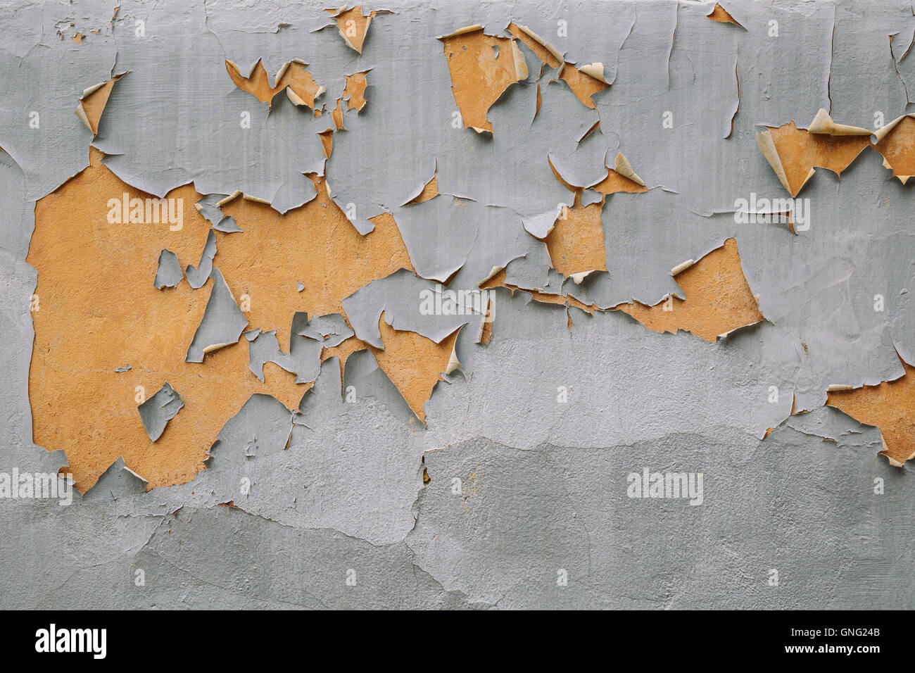 Grey Exposed Textured Walls And Luxe Materials photo
