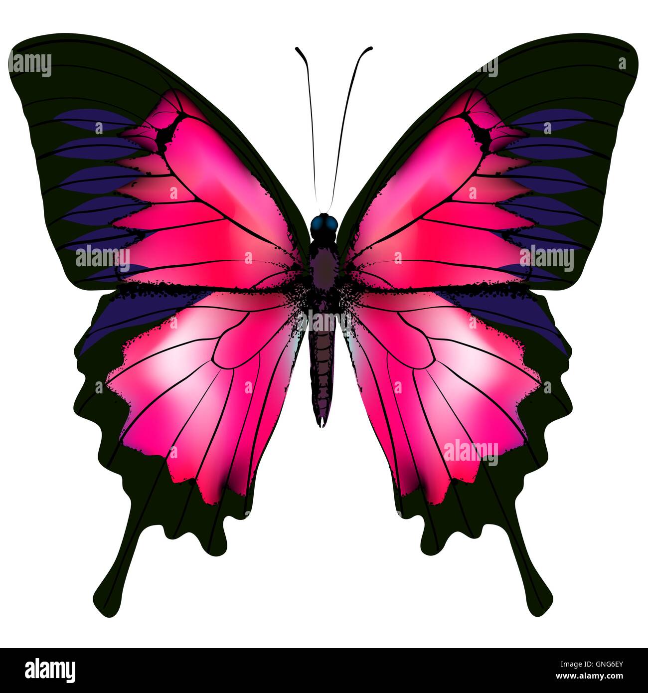 Free Free 224 Red Butterfly Svg SVG PNG EPS DXF File