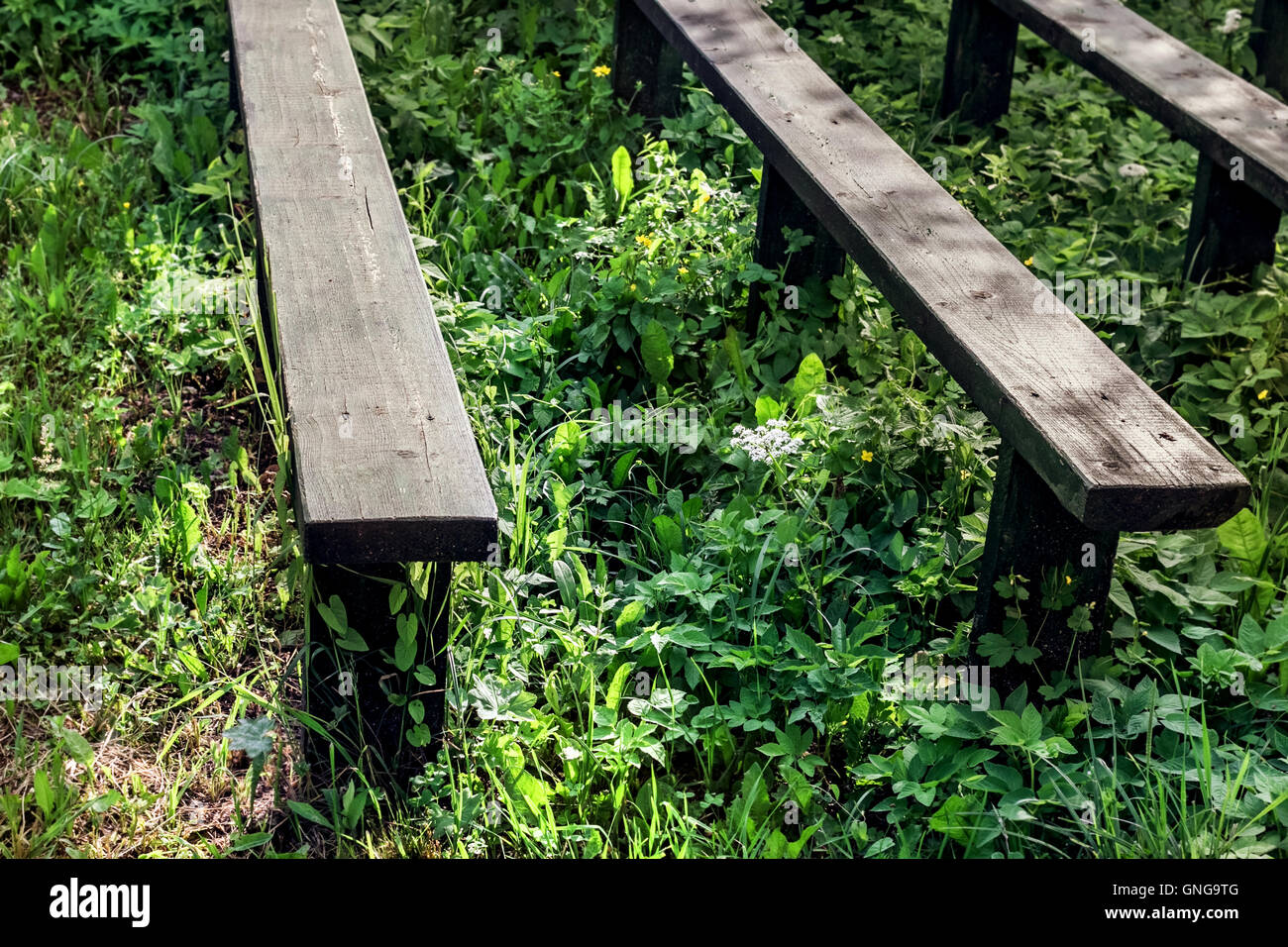 Memory benches hi-res stock photography and images - Alamy