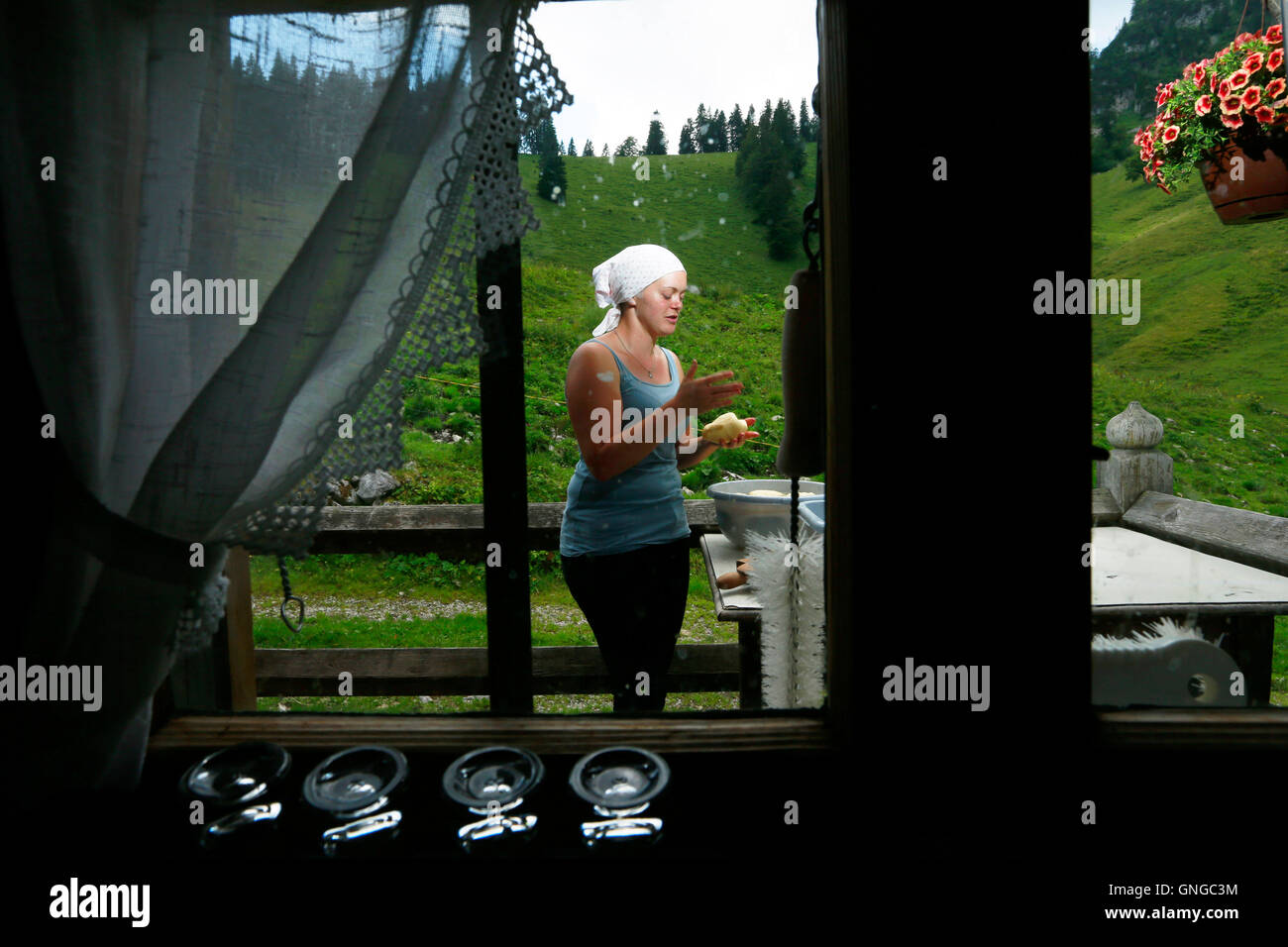 Alpine dairy farming at Kreuth, 2014 Stock Photo