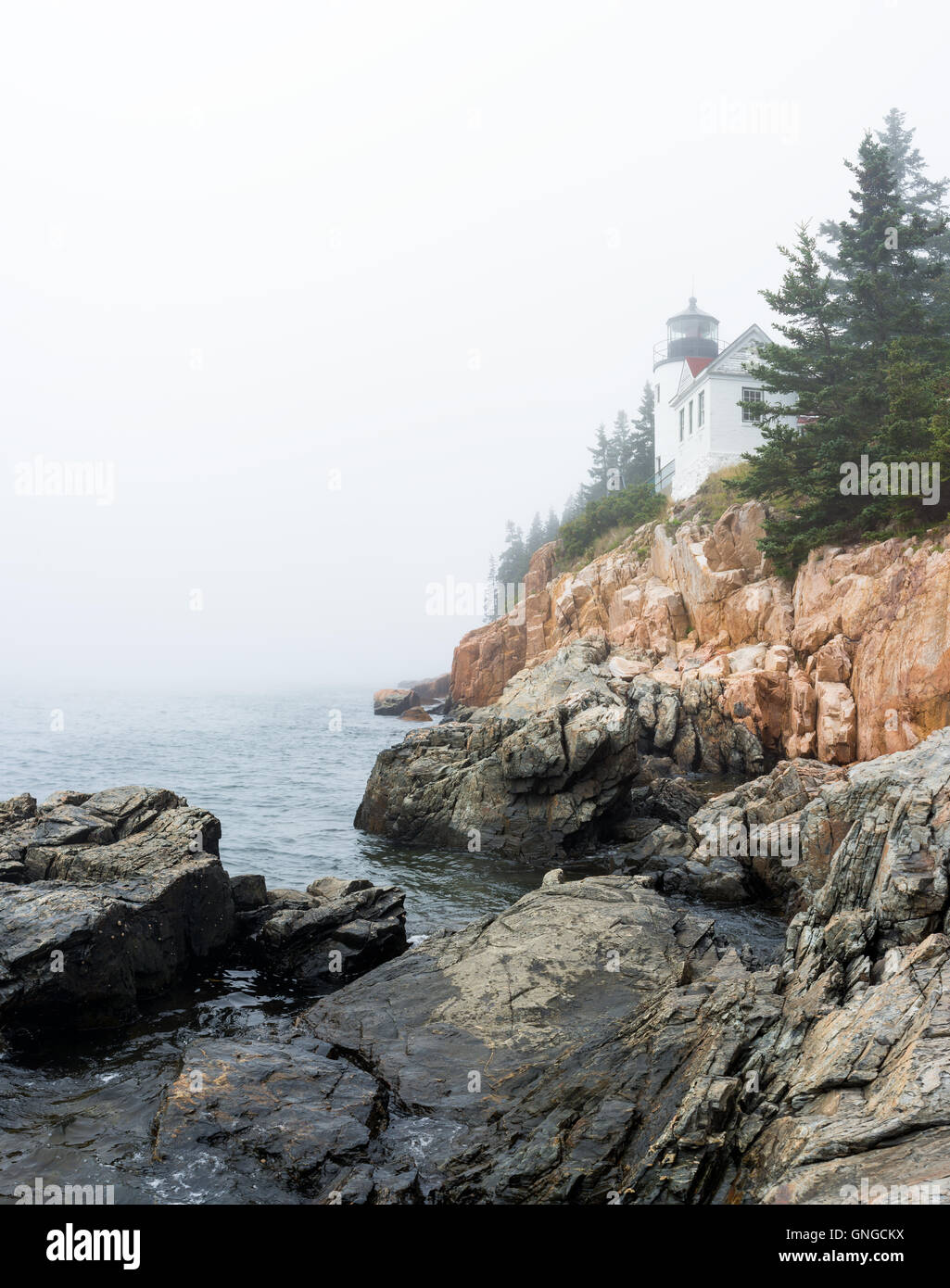 Bass Harbor Head Light on a foggy day, Acadia National Park, Maine Stock Photo